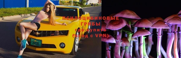apvp Новокубанск