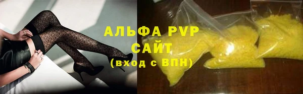 индика Белоозёрский