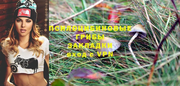 mdma Нязепетровск