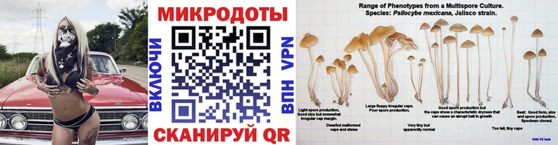 Галлюциногенные грибы мухоморы Салават