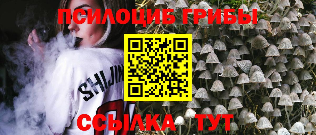 Псилоцибиновые грибы MAGIC MUSHROOMS  Вход с VPN  Салават 