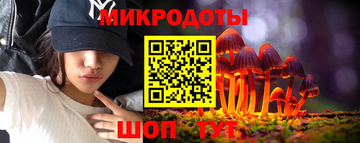 Псилоцибиновые грибы Psilocybe  Салават  Галлюциногенные грибы Magic Shrooms 